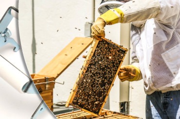 Alati za pčelare